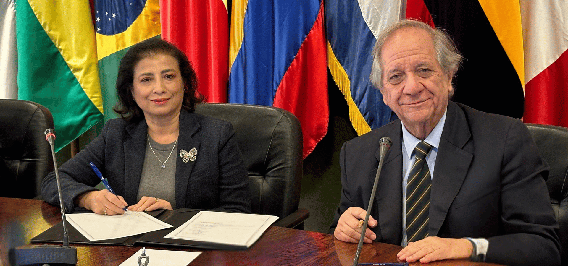 Países acuerdan en la ALADI la modernización de las disposiciones migratorias para el transporte terrestre regional
